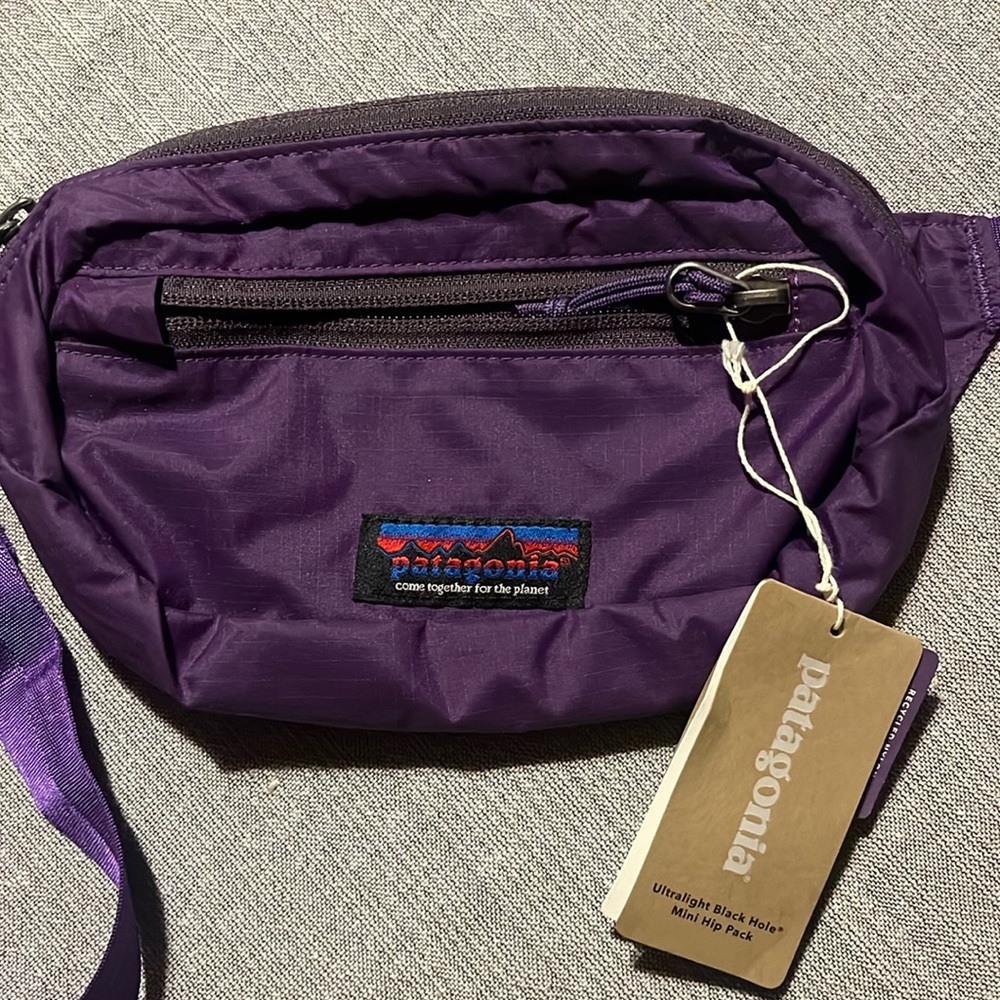 Purple Patagonia Fanny Pack